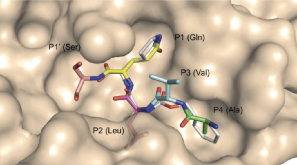 A Potential Repurposing of Existing Drugs to Combat Covid-19